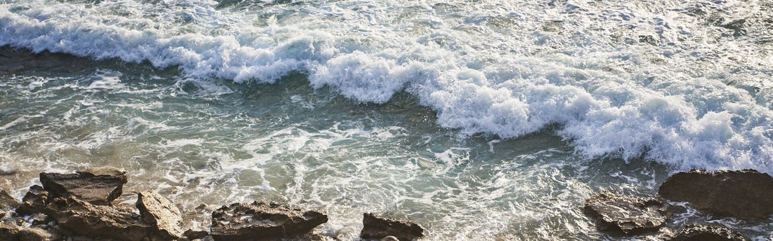 what the 2026 year of the fire horse means for your Chinese zodiac sign