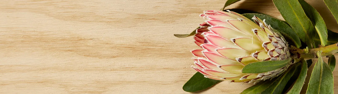 Dr Hayley: menopause and beyond