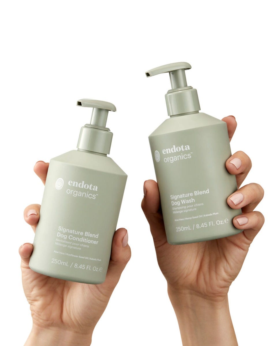 Signature Doggie Duo