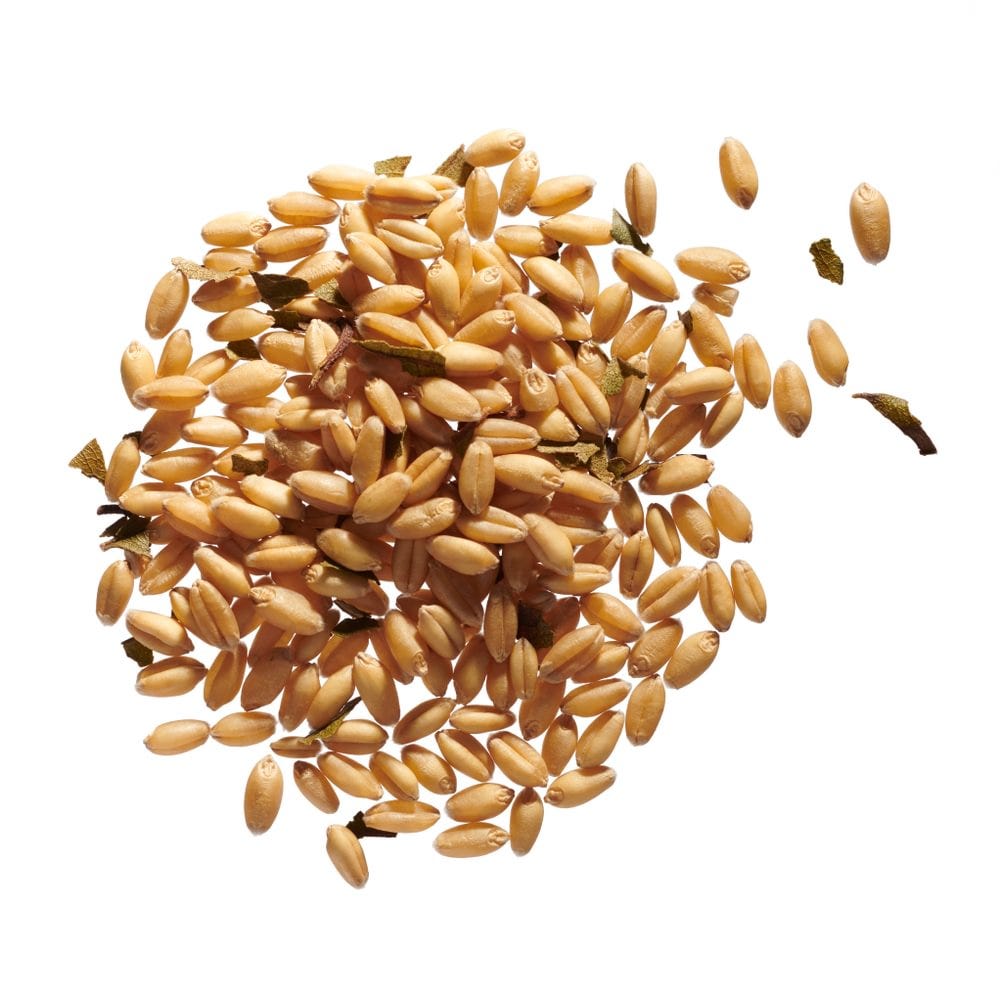 Australian Lemon Myrtle Heat Pillow